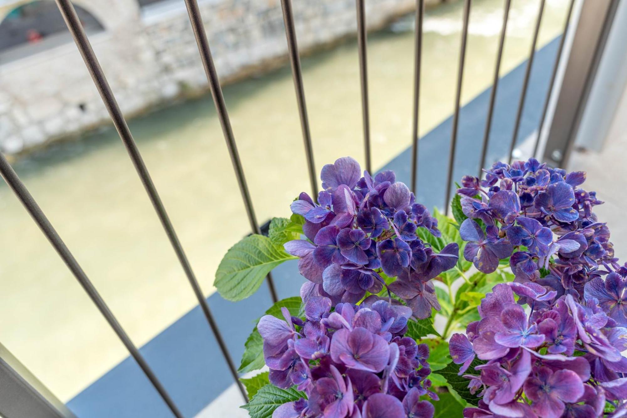Luxury 2Br W/ River Castle View In Borgo Valsugana Διαμέρισμα Εξωτερικό φωτογραφία